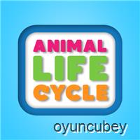 Tier Leben Cycle