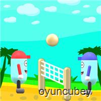 Beach-Volleyball
