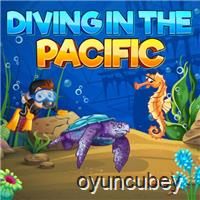 Diving Im Das Pacific