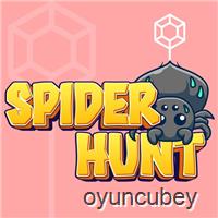 Spider Hunt