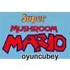Mario Mushroom Collect