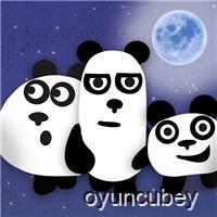 3 Pandas 2. Gece