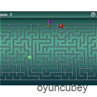 Ein Labyrinthrennen