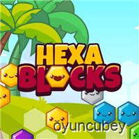 Hexa-Blöcke