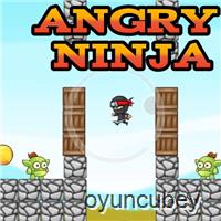 Kızgın Ninja
