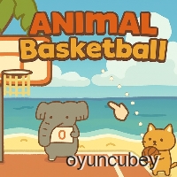 Hayvan Basketbolu
