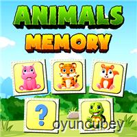 Hayvanlar Hafıza Kartları Eşleştirme