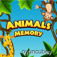 Hayvanlar Hafıza Kartları