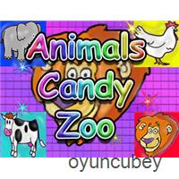 Tier-Süßigkeits-Zoo