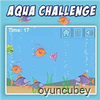 Aqua Herausforderung