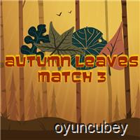 Herbstlaub Match 3