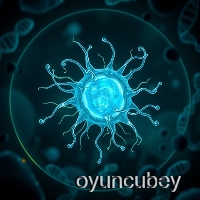 Bakteriler: Yaşam Ve Ölüm