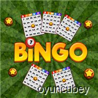Bingo-Enthüller