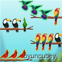 Bird Sort Challenges