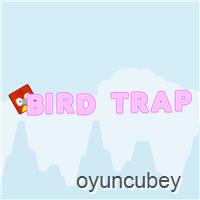 Pájaro Trap