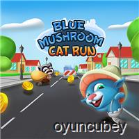 Mavi Mantar Kedi Koşusu