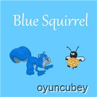Blaues Eichhörnchen