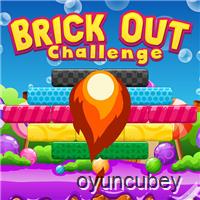 Brick Out Challenge
