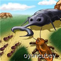 Bug Krieg