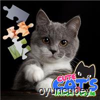 Süß Katzen Puzzle Puzzle