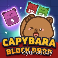 Kapibara Blok Düşüşü