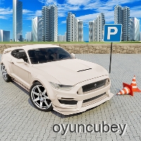 Araba Simülatörü 3D Ve Araba Oyunu 3D