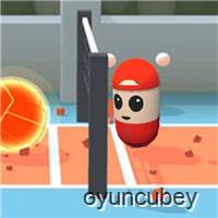 Cartoon Volley Fun 