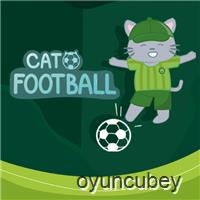 Kedi Futbolu