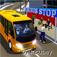 Ciudad Minibus Conductor