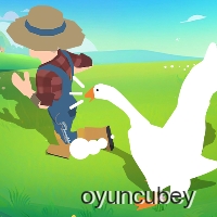Çılgın Kaz Simülatörü