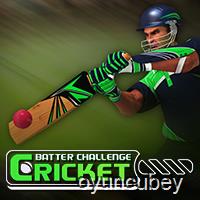 Cricket Batter Challenge Juego