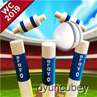 Kriket Dünya Kupası 2019 Mini Zemin Kriket