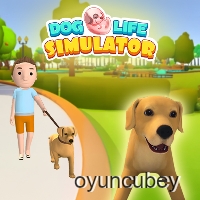 Köpek Yaşam Simülatörü