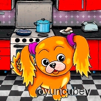 Köpekler