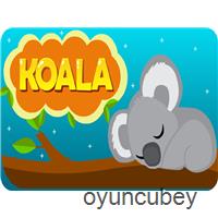 EG Koala