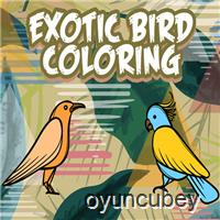 Exotische Vögel Färben
