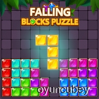 Puzzle Mit Fallenden Blöcken