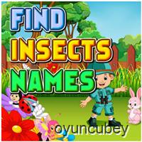 Encontrar Nombres De Insectos