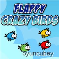 Flappy Çılgın Kuş
