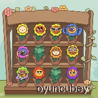 Colección De Flores