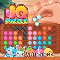 Fun Iq Puzzle