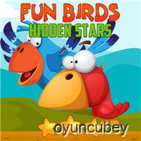 Fun Birds Hidden Stars