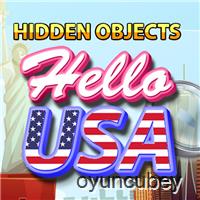 Versteckt Objects Hello Vereinigte Staaten Von Amerika