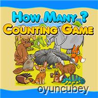 How Many Counting Game for Kids