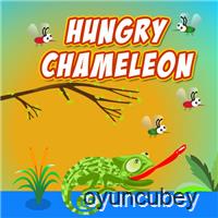 Hungriges Chamäleon