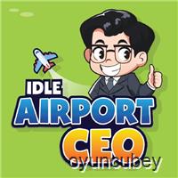 Director Ejecutivo Del Aeropuerto Inactivo