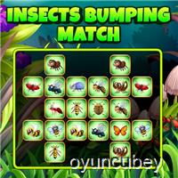 Insects Bumping Match