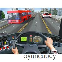 Überlandbusfahrer 3D