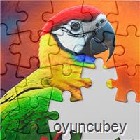 Yapboz M