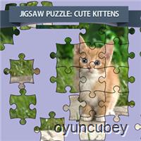 Puzzle: Süße Kätzchen